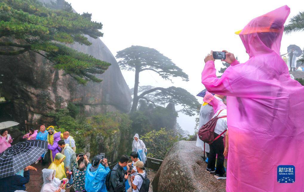 永利轮盘登录